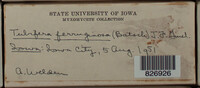 Image Associated With the Occurence